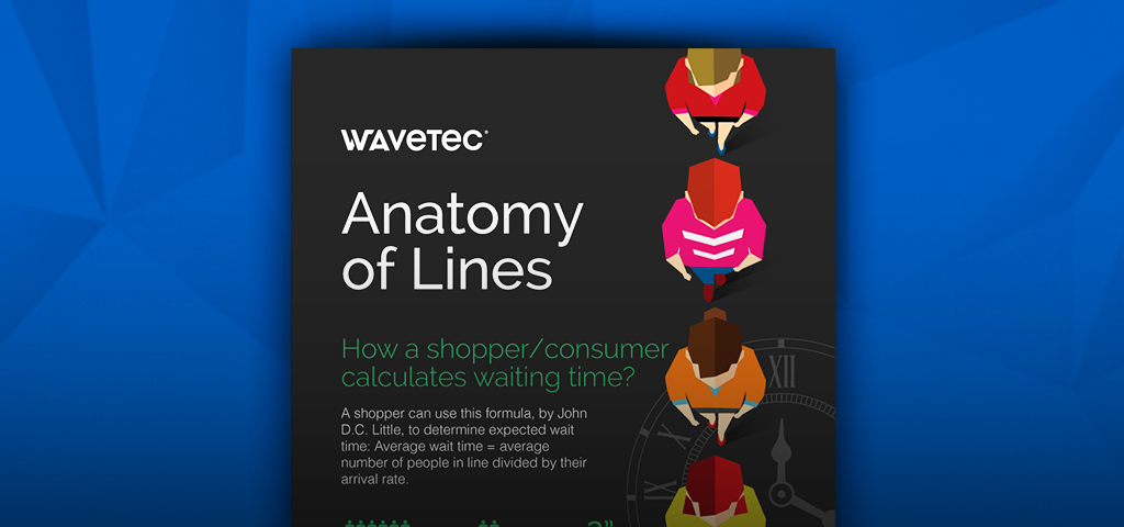 drawing anatomy website