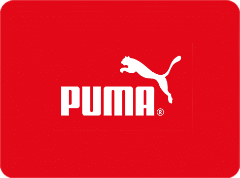 Wavetec Case Puma Inner Featured Image