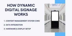 What is Dynamic Digital Signage & Why It Matters – Wavetec Blogs
