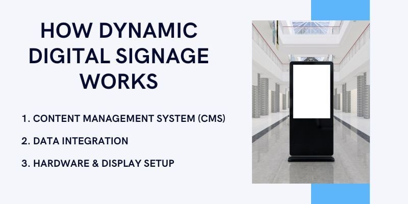 how-dynamic-digital-signage-works